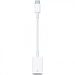 Apple USB-C to USB-45863